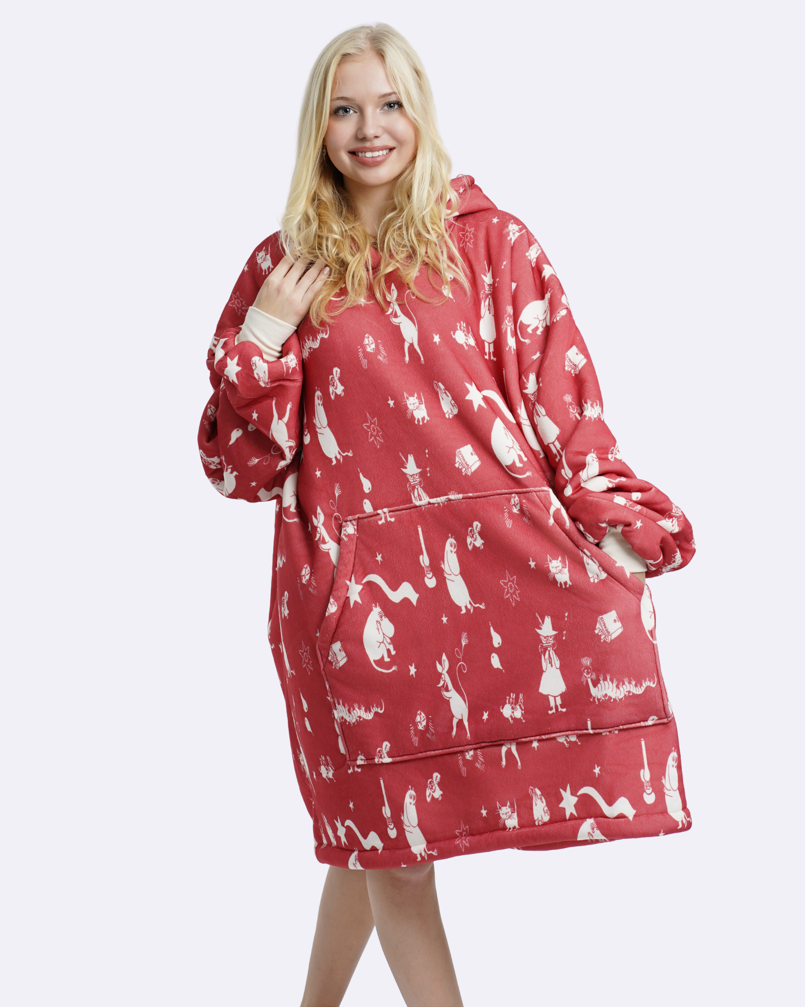 Comet in Moominvalley Mooson