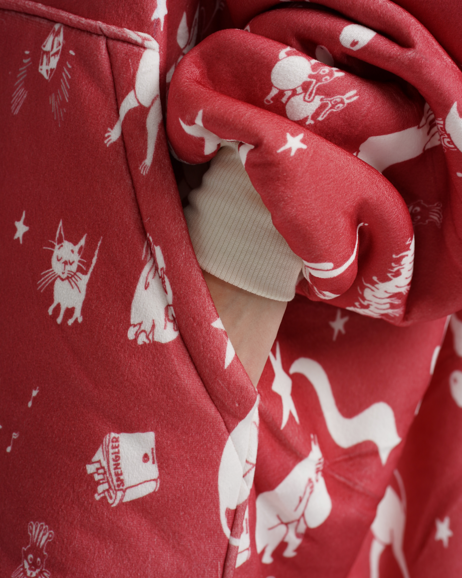 Comet in Moominvalley Mooson