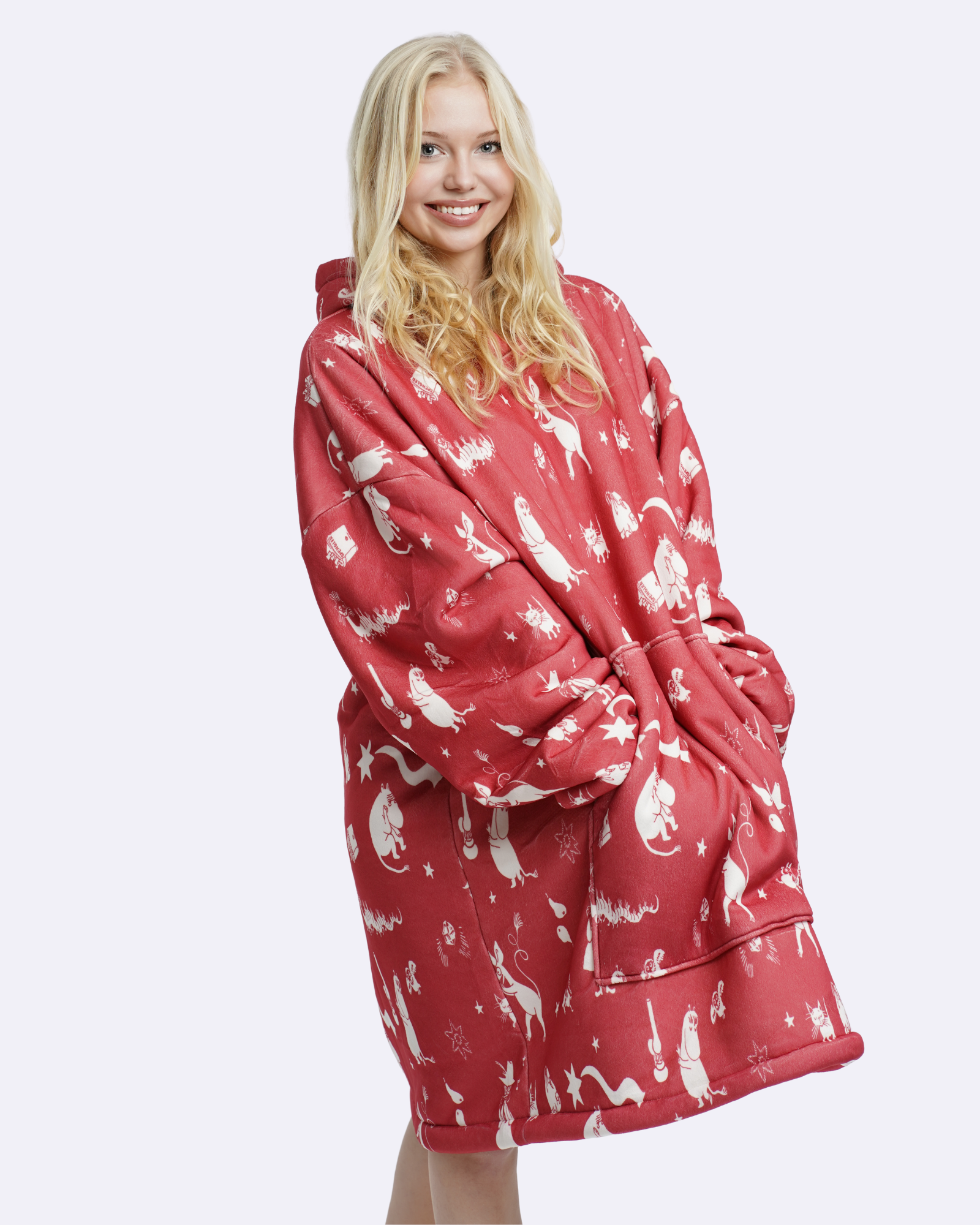 Comet in Moominvalley Mooson