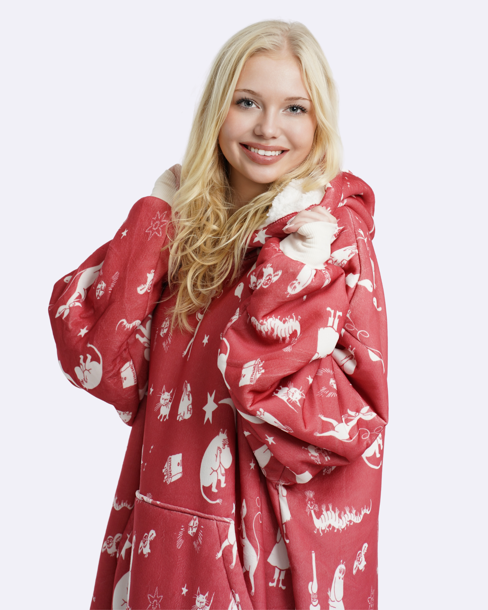 Comet in Moominvalley Mooson